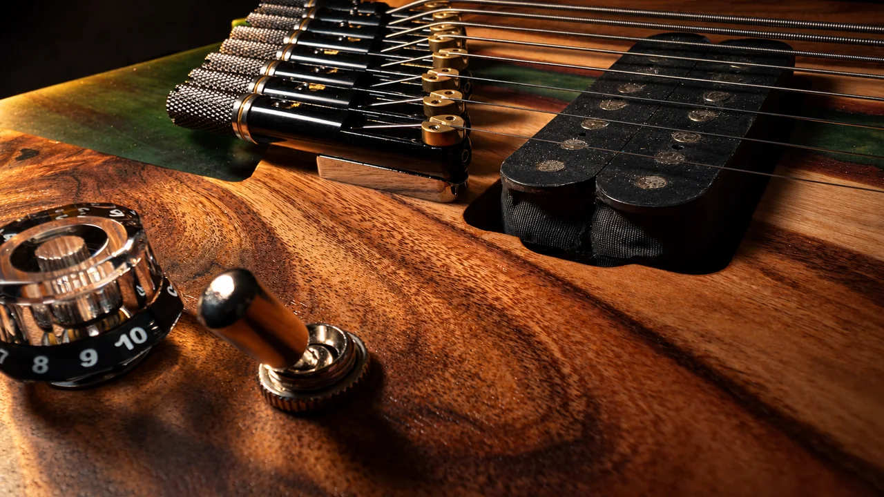 Close-up of the guitar’s controls and pickup